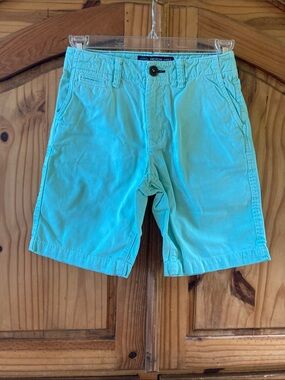 Men's American Eagle Classic mint green shorts size 26